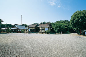 信太山新地の魅力とおすすめスポット