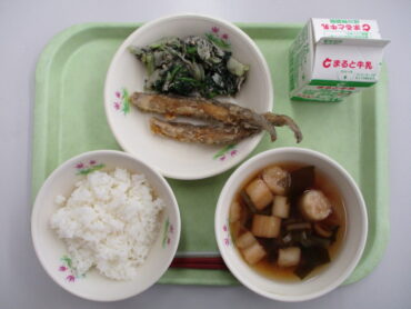 おうちごはん 献立いかの唐揚げ などなど ｡かいかい❤︎お鍋ガールズ