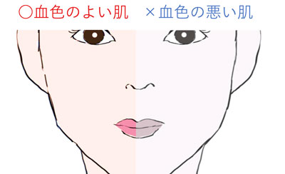 顔の形や特徴・おでこ等でわかる人相【観相学】 - zired