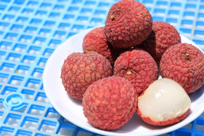 喜ばれる宮崎のお土産18選！地元民「人気ランキング」＆編集部おすすめを紹介 じゃらんニュース