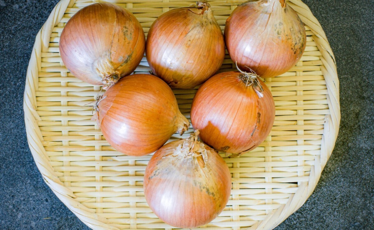 収穫時期の紫玉ねぎのキャラクターイラスト - No: 22801440無料イラスト・フリー素材なら「イラストAC」