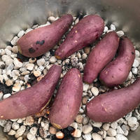 きゅうりの育て方 芽かき