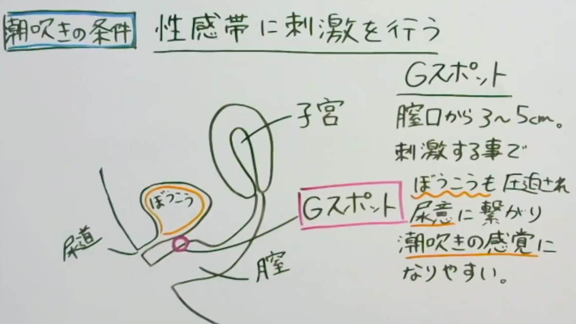 オトナの野菜生活！Gスポットに当たって潮吹き大事故！お野菜たっぷりツユだく！おま○こマイク！おしっこ【バイノーラル、実演音声、ASMR、フォーリーサウンド】（ぼっちえっちLAB）の通販・購入はメロンブックス  | メロンブックス