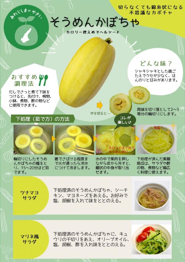 野菜苗用ラベル そうめんかぼちゃ 金糸瓜 100枚入 No614メーカー直送: 日光種苗ヤフー店 - 通販 - Yahoo!ショッピング