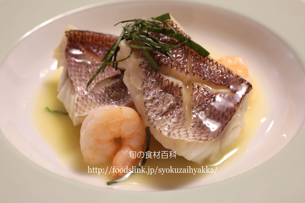 ヒメダイ 姫鯛オゴダイ クルキンマチ チビキの目利きと料理：旬の魚介百科