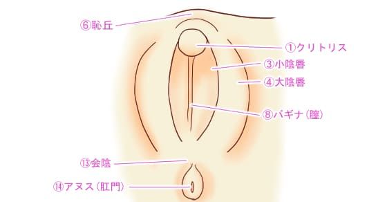 まだ名前がありませんレビュー】超人気リアル系オナホの正体を徹底解剖【3000