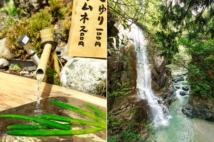 富山で魚三昧 磨窟仏とゆり園』立山黒部(富山県)の旅行記・ブログ by もまさん【フォートラベル】