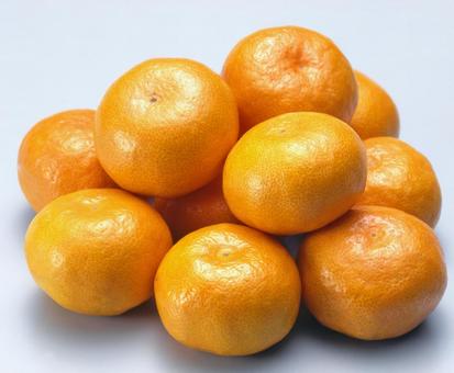 みかんの花花言葉や開花時期をわかりやすく解説となりのカインズさん