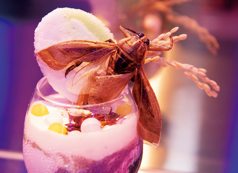 蛇・イグアナ・カメレオンと触れあいながら昆虫食まで堪能できる「爬虫類カフェ ROCK STAR」に行ってみた - GIGAZINE