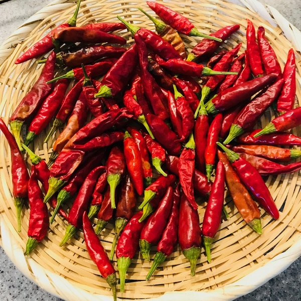 赤唐辛子 生 韓国産生唐辛子は豊田商店通販サイトで