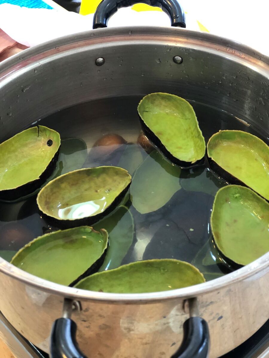 アボカド食べたら、草木染め。kofucobo