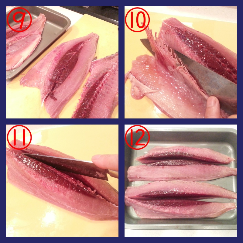 全身トロ! スマの捌き方 カツオも同じ