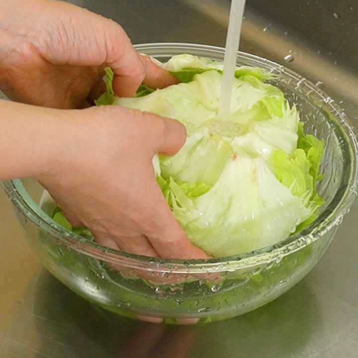 レタスの保存方法は「芯に小麦粉をまぶす」が正解で一番長持ち!管理栄養士が検証しました - トクバイニュース