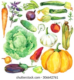 緑の野菜02イラスト - No: 24336900無料イラスト・フリー素材なら「イラストAC」