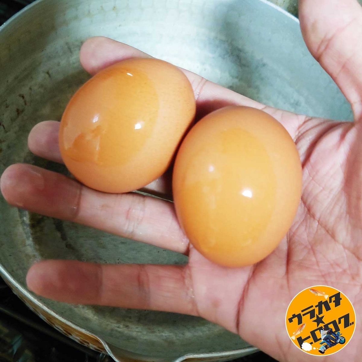 Amazon生エッグピアサーひよこの卵穴パンチャーゆで卵が割れない卵の殻むき道具 半自動キッチンツール Carsryエッグカッターオンライン通販