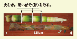 たけのこメンマの作り方・旬を過ぎた筍を美味しく食べる方法！むら暮らし