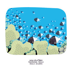 チョコレートディップクロミス