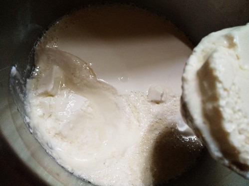 ヨーグルトメーカー 作り方・R-1・LG21他手作り・温度・レシピ