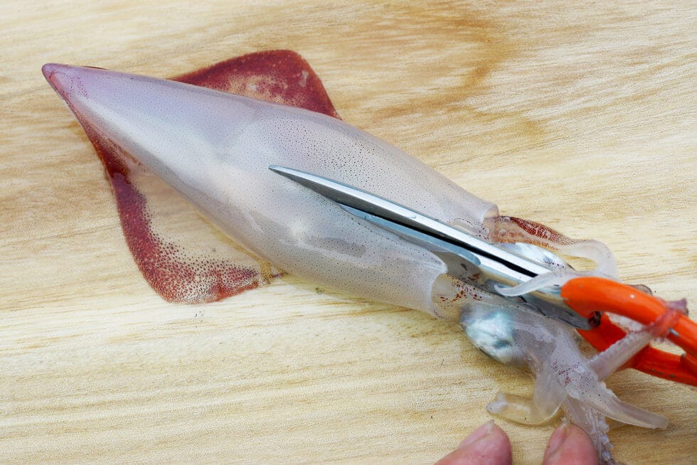 お造り4種盛り ヤリイカの刺身盛り 飾り包丁、いかそうめん、エンペラの部分、様々ないただき方があり、どれも食感が異なり、とても美味しいです。お酒のおつまみにも最高です。 簡単に捌けますので、ぜひみなさんいろんな調理で楽しんでくださいね!工程・目と目