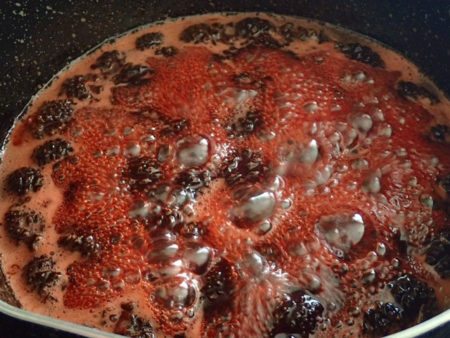 仙人も食べる 松の実の効果 公式 まごころケア食