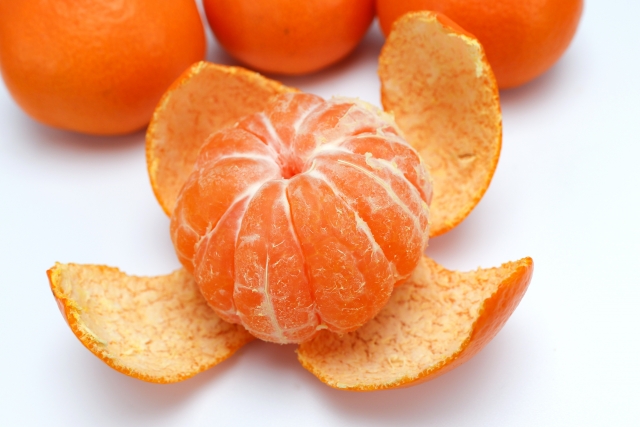 みかんの木はどう育つ？みかんの寿命や一生を知ろう！みっかびブログ三ヶ日みかんの通販・ギフト購入ならJAみっかび公式オンラインショップ