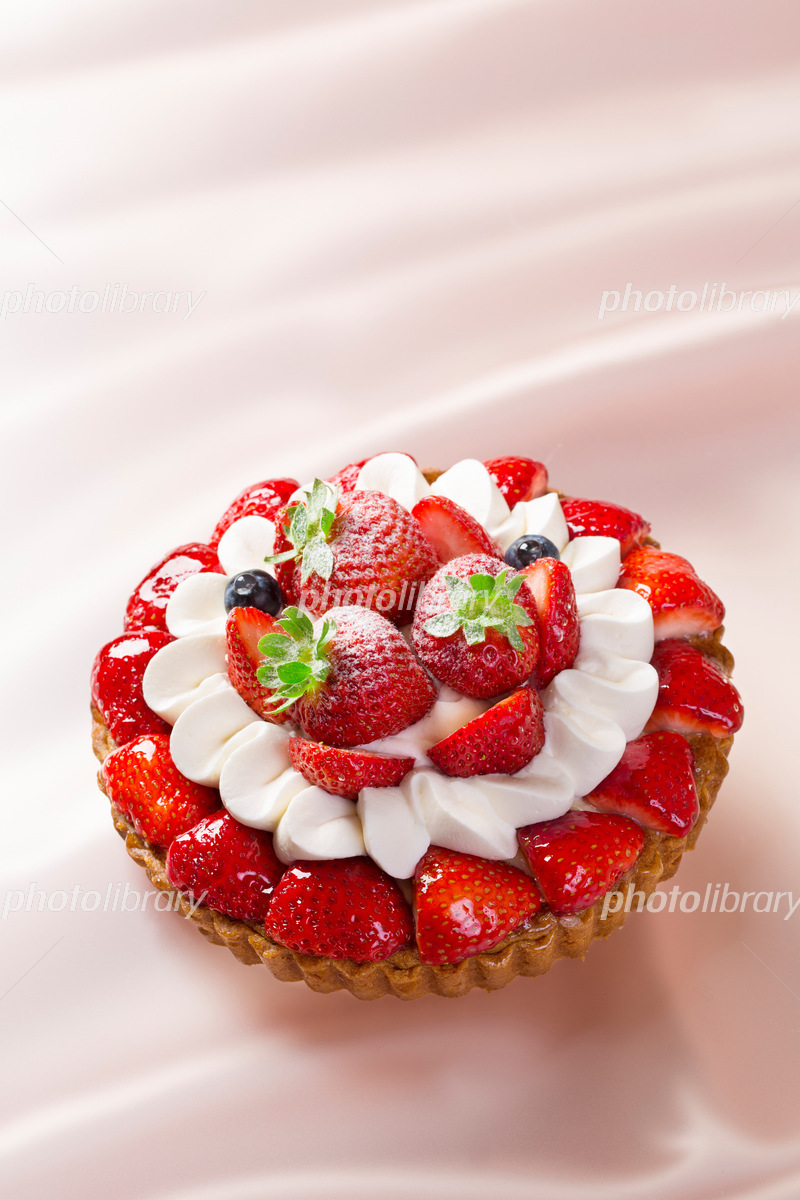 愛知県フルーツタルト・ショートケーキ専門店サン-DISHES and TART SAN