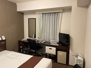 SHIZUTETSU HOTEL PREZIO SHIZUOKA-EKIKITA