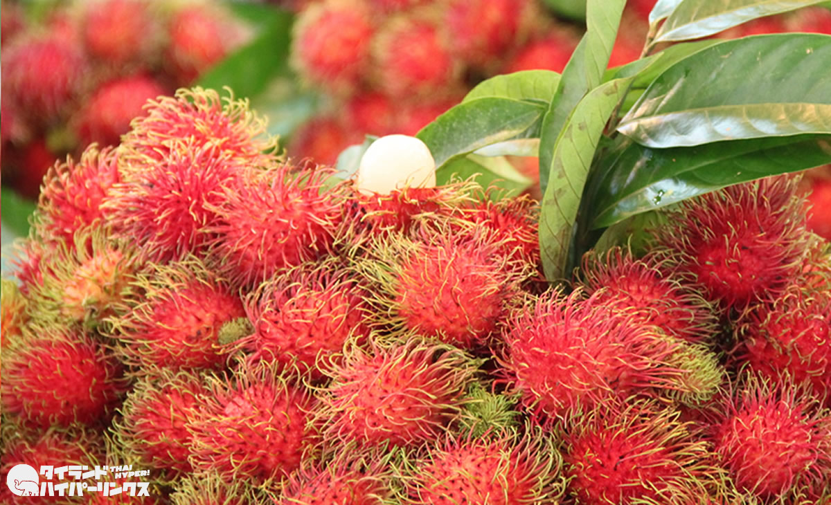 神津島直送の南国フルーツ！『パッションフルーツ』食べてみた旅する久世福e商店