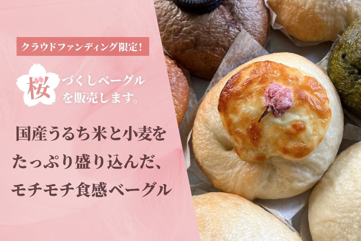 博多ういろう・桜ういろう詰め合わせ筑前堀 ONLINE STORE