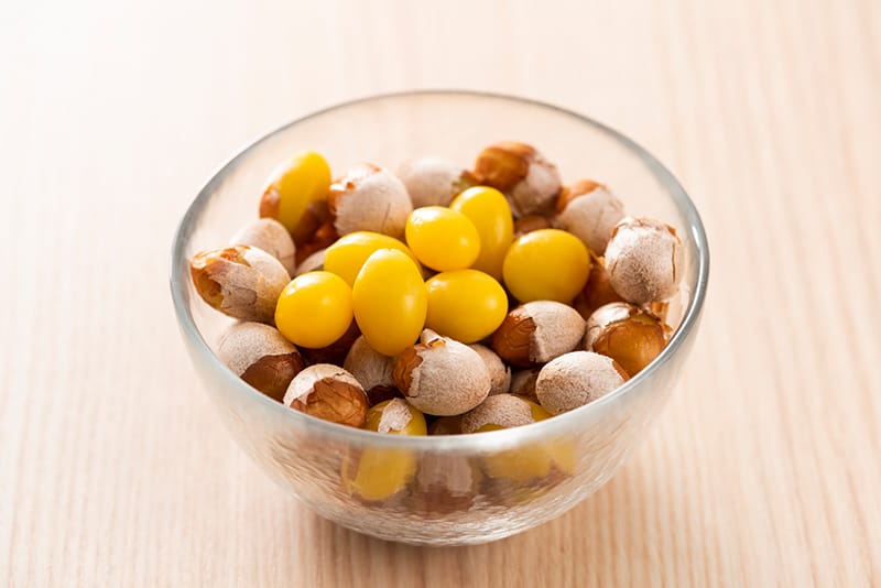 海外でも銀杏を食べよう！イチョウの木から銀杏を収穫して食べたドイツ在住者の話 海外在住者必見フランクフルトから発信！ドイツ生情報