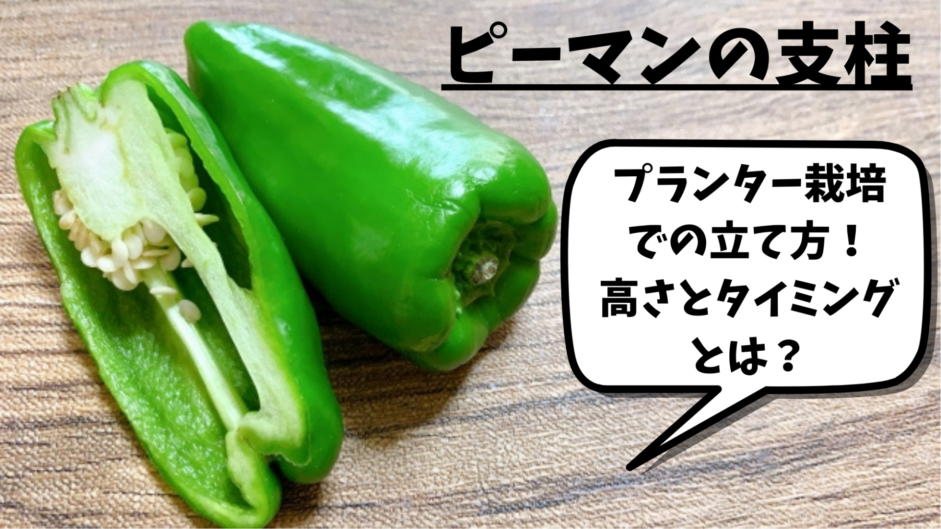 ピーマンの支柱の立て方 プランターなら何本必要？なしでも育つ