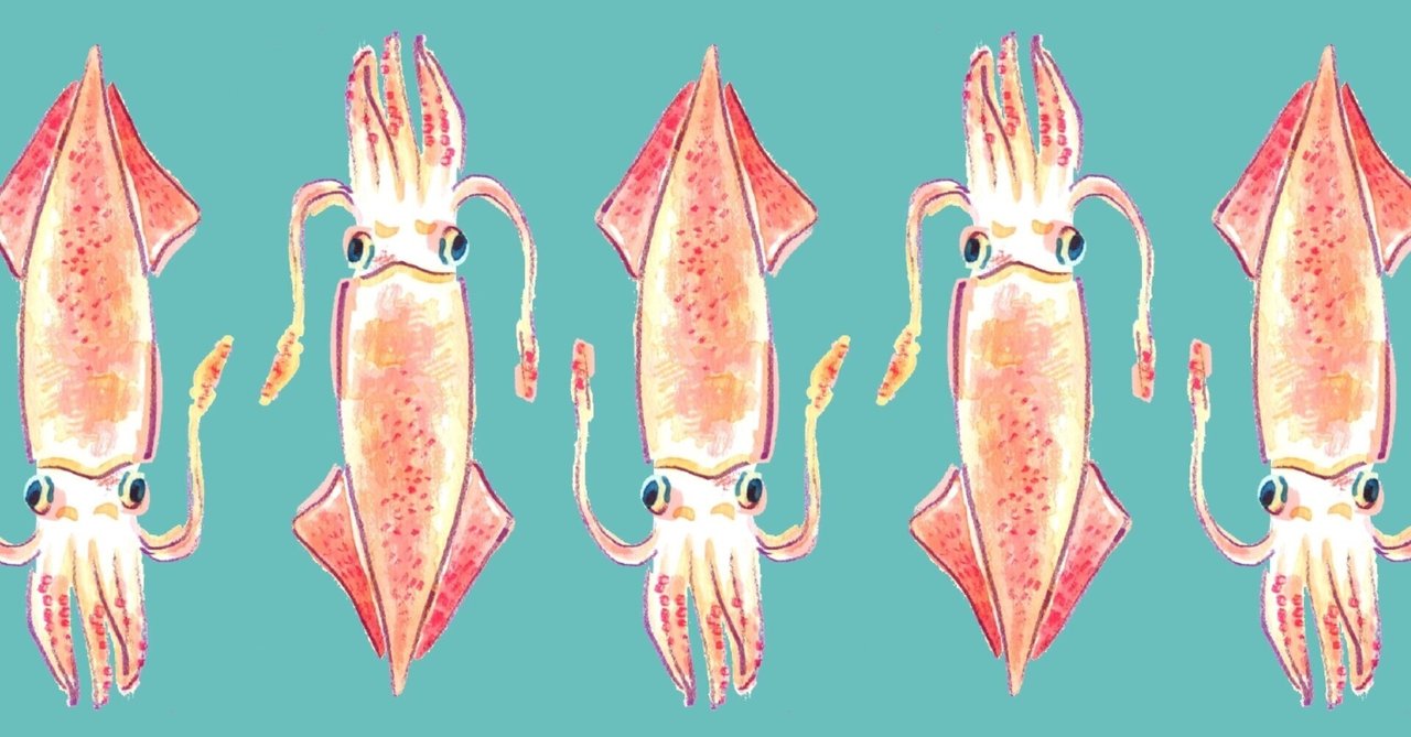 ヤリイカボイル相馬双葉漁業協同組合