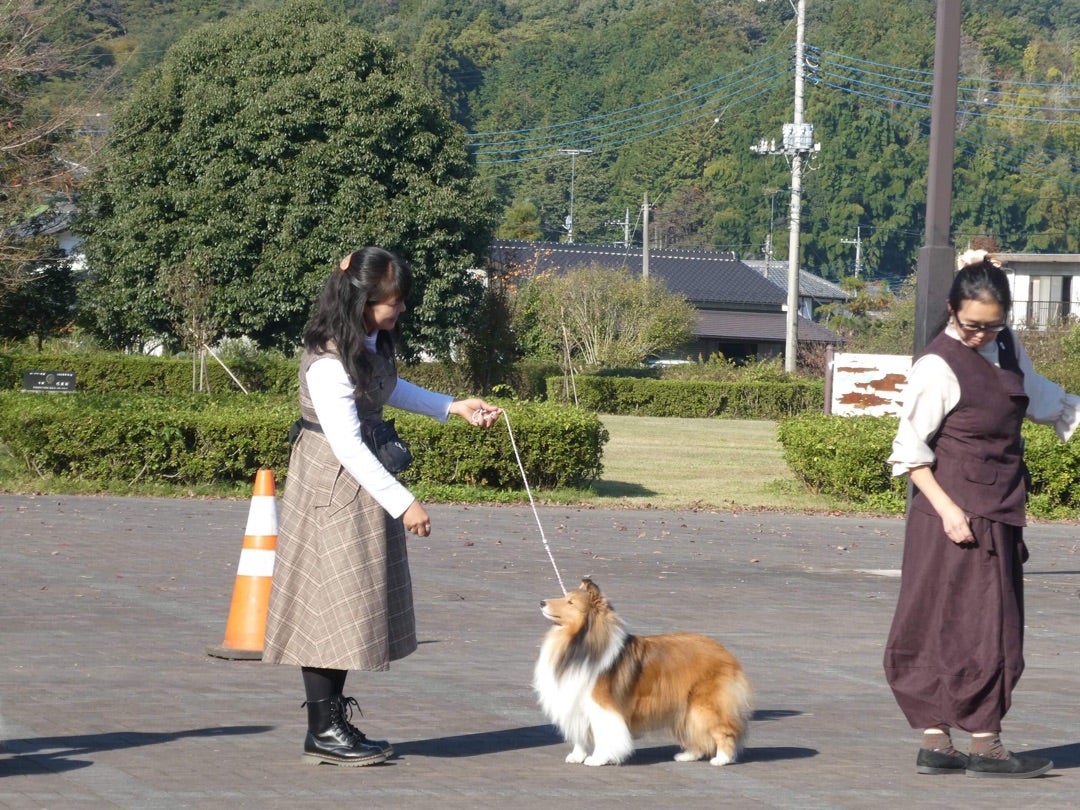 ナディアパーク周辺に近いおすすめビジネスホテル - 宿泊予約は[一休.com]