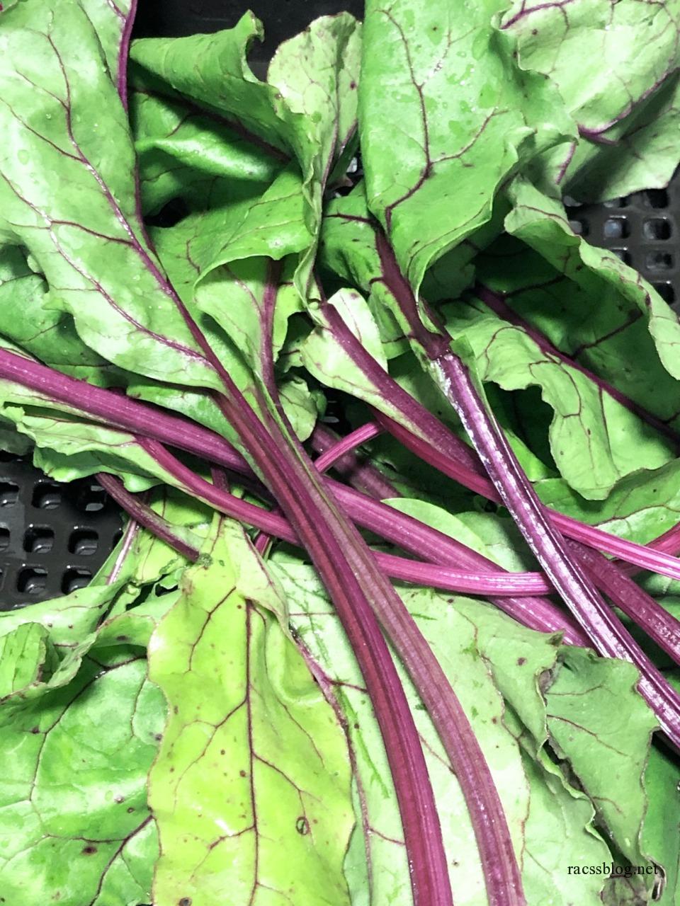 真っ赤な野菜「生ビーツ」のレシピ3品。揚げもの、スープ、ピクルス。おもてなしにも◎三越伊勢丹の食メディアFOODIE フーディー