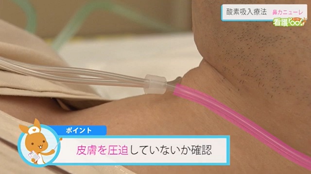 鼻腔カニューラ泉工医科工業株式会社PDNレクチャ