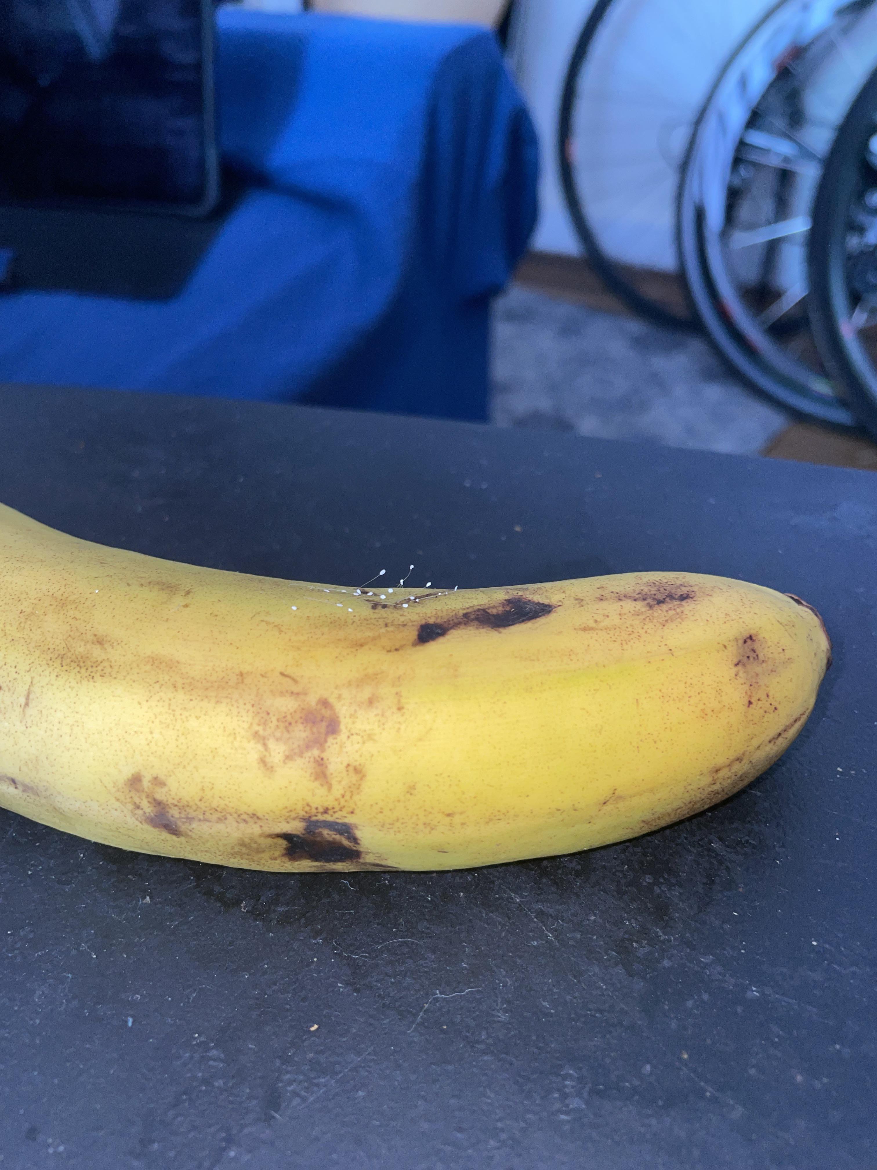 バナナの茎に白いふわふわが発生！この状態でも食べられる？あなたとわたしの便利帳