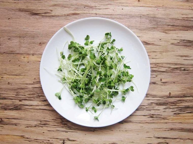 秋の燻製窯直送フレッシュスモーク - お知らせ・燻製日記