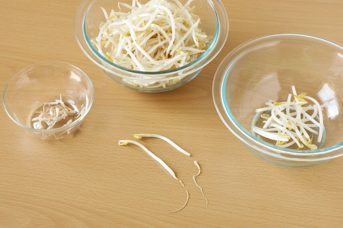 山都 根切りもやし 200g 山都産業 の口コミ・レビュー・評判、評価点数ものログ