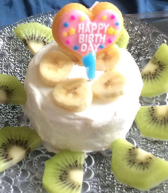 ヒトとワンコが毎日いっしょに食べられるおやつを提供するワンズデイリー、春限定の無添加クッキーを販売開始株式会社ワンズデイリーのプレスリリース