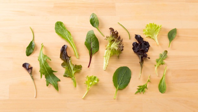 リーフレタスがたくさん入荷しています 気温が高くなってくると、とたんに生野菜のサラダが食べたくなってきます。今日は色も葉の形も、実に様々なリーフレタス類が入荷していますので、いくつか組み合わせてサラダにするのもおすすめです😊大きな器にいろんなお野菜を