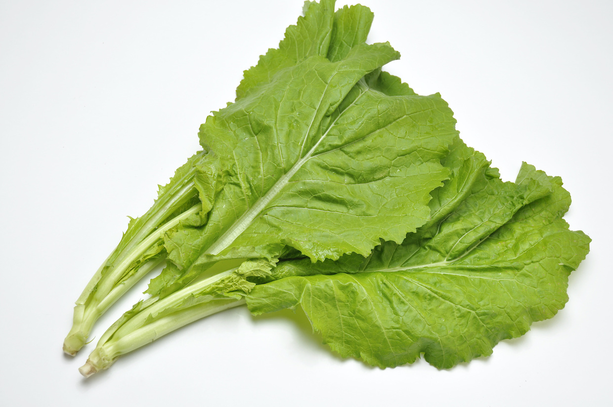 0円食材 河川敷の菜の花を食べる。葉は漬物に根はおろしに