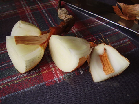 食べようと思ったら玉ねぎに芽が！芽が出た玉ねぎは食べても大丈夫？管理栄養士が回答ヨガジャーナルオンライン