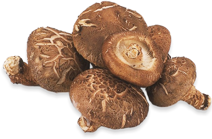 新鮮で手間いらずの 生しいたけ を徹底分析！でも旨味や栄養価を考えるとやっぱり 干ししいたけ姫野一郎商店 明治十年創業