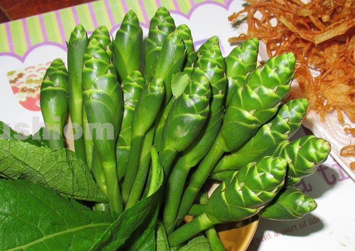 ヤブミョウガ 藪茗荷ツユクサ科ヤブミョウガ属 野田市ホームページ