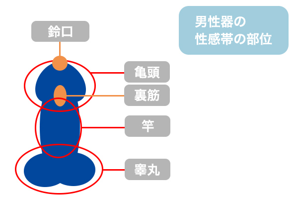 受けに教えてあげたいマスターベーションの間違った方法5つ｜BLニュース ちるちる