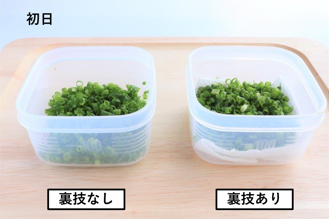 セリア 大葉とネギの保存容器♩LEE