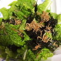 シャキシャキ食感! サンチュとねぎのチョレギサラダ