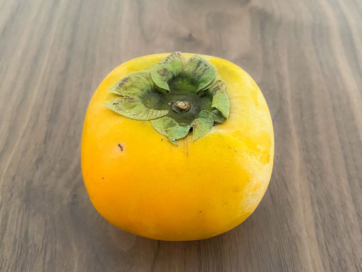 柿の保存 楽しみたい“食感別”で保存法を選択！冷凍なら3か月OK♪解凍後はシャーベット食感に♡『あたらしい日日』こんな時代のニューノーマルな暮らし方。食と農、生活情報をお届けします