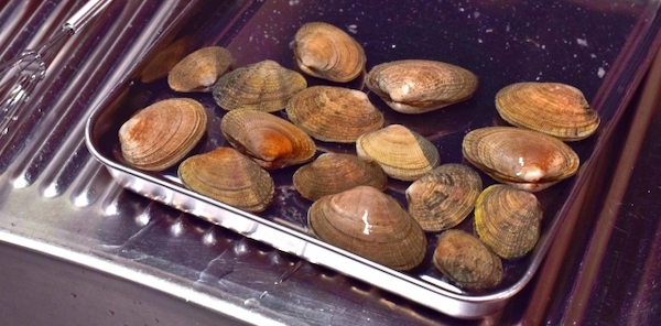 あさりの冷凍保存方法 調理にも使いやすい！プロが教えるあさりの保存テク季節の食材のHOW TOアマノフーズ公式ブランドサイト