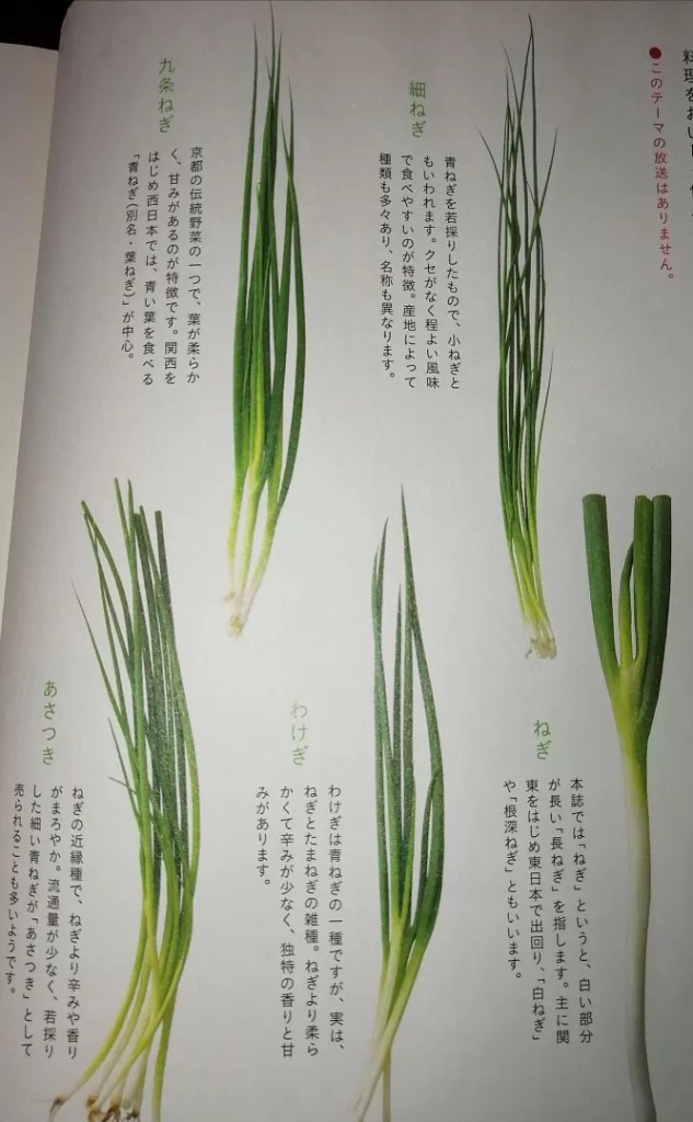 トレード 九条ねぎ トレード の口コミ・レビュー・評判、評価点数ものログ